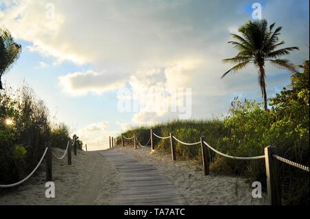 Cordata rigato, Sandy, passerella che conduce alla spiaggia di Alba, sunrise a South Beach, Miami Beach, Florida, Stati Uniti d'America Foto Stock