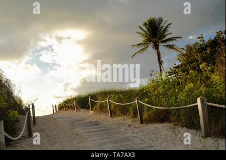 Cordata rigato, Sandy, passerella che conduce alla spiaggia di Alba, sunrise a South Beach, Miami Beach, Florida, Stati Uniti d'America Foto Stock