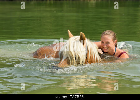 Cavalli di Razza Haflinger. Giovane donna di nuoto con il suo cavallo in un lago. Germania Foto Stock