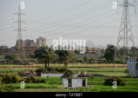 L'Egitto, al Cairo e Piramidi di Giza, agricoltura del fiume Nilo delta, dovuta a una massiccia costruzione e la crescita della città le fertili terre arabili è decrescente / AEGYPTEN HA, Kairo, Pyramiden von Gizeh, Landwirtschaft im Flussdelta nullo, durch zunehmenden Bau von Haeusern schrumpft die fruchtbare landwirtschaftliche Flaeche Foto Stock