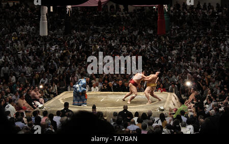 Lottatori di Sumo in azione, Tokyo, Giappone Foto Stock