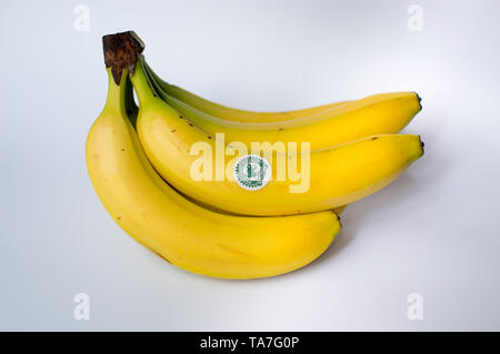 Grappolo di banane Foto Stock