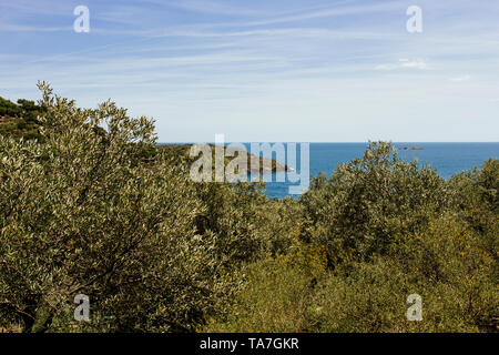 Escursionismo da Cadaqués a Cap de Creus. La regione in cui Salvador Dalí vissuto e che spesso egli si mostrò nei suoi dipinti. Foto Stock