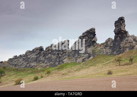 Formazione di roccia Teufelsmauer (diavoli parete), fatta di arenarie erose. Close-up del Mittelsteine vicino WedderslebenHarz Foreland, Sassonia-Anhalt, Germania Foto Stock