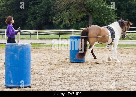 La guida di massa, chiamato anche a lungo fodera: insegnare un giovane cavallo per spostare in avanti con una persona che cammina dietro di esso, un precursore di entrambi i cavi e di pilotaggio avente redini utilizzato da un pilota montato. Austria Foto Stock