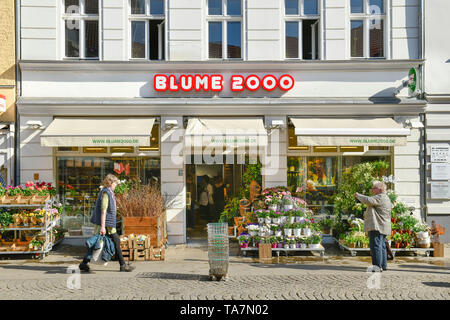 Fiore nel 2000, Carl grembiule Street, Città Vecchia, Spandau, Berlino, Germania, Blume 2000, Carl-Schurz-Straße, Altstadt, Deutschland Foto Stock