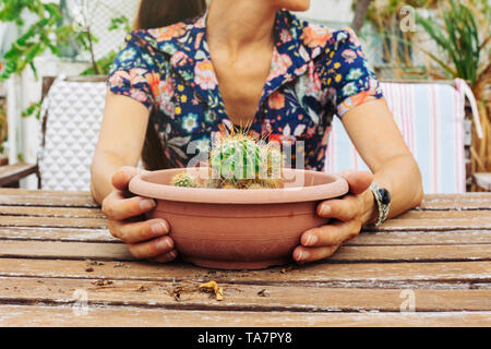Primo piano di una donna in un abito fiorito tenendo un pot di succulente cactus in una terrazza. Home crescente concetto ecologico. Spazio di copia Foto Stock