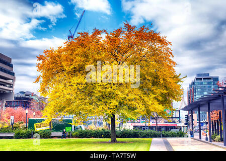 Ottobre 30, 2018. Boston, Massachusetts. Union Street park e diversi edifici nella città di Boston Massachusetts cityscape su un nuvoloso, autunno bl Foto Stock