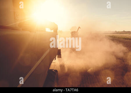 Una mietitrebbia e un trattore la raccolta al tramonto Foto Stock