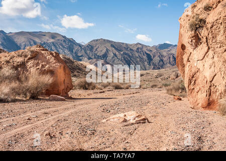 Formazioni geologiche a Skazka Canyon, Kirghizistan, in Asia centrale Foto Stock