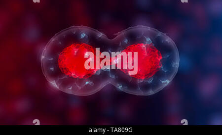 Le cellule staminali embrionali o crescita, la riabilitazione e il trattamento di malattie, 3D illustrazioni Foto Stock
