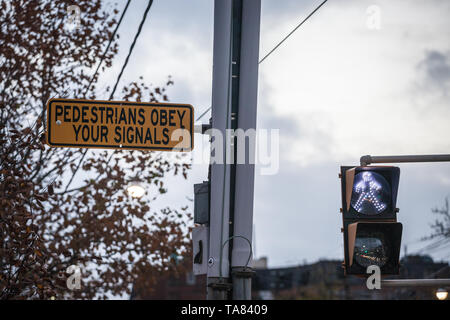 Semaforo pedonale indicando i pedoni possono camminare accanto a un segno chiedendo alla gente di rispettare il codice e il semaforo, nel centro cittadino di Toronto, Foto Stock