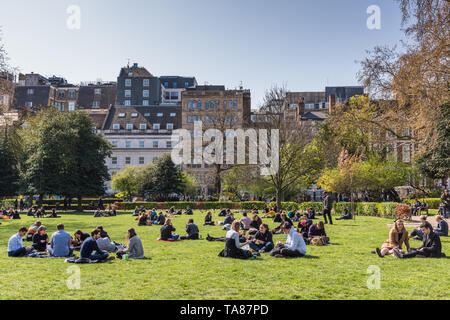 Lincoln' s Inn campi, London, Regno Unito Foto Stock