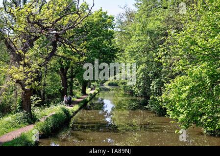 Due anziani donna scuotipaglia sull'alzaia del fiume Wey canale di navigazione su una giornata d'estate, Byfleet Surrey in Inghilterra REGNO UNITO Foto Stock