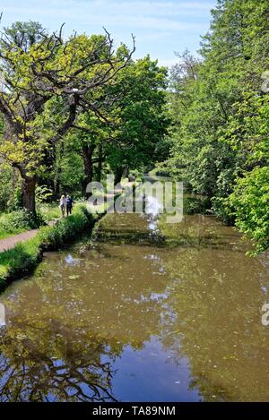 Due anziani donna scuotipaglia sull'alzaia del fiume Wey canale di navigazione su una giornata d'estate, Byfleet Surrey in Inghilterra REGNO UNITO Foto Stock