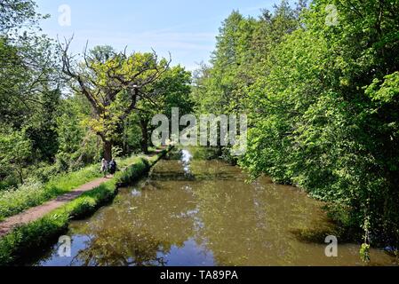 Due anziani donna scuotipaglia sull'alzaia del fiume Wey canale di navigazione su una giornata d'estate, Byfleet Surrey in Inghilterra REGNO UNITO Foto Stock