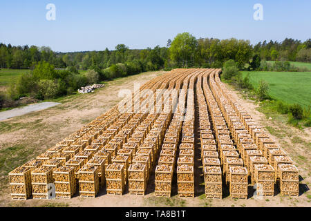 Righe di legna da ardere impilate su pallet pronto per il trasporto. Parte del paesaggio circostante visibile. Foto Stock