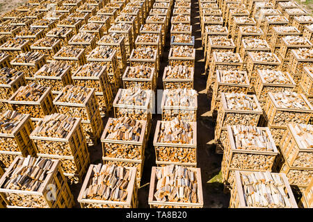 Righe di legna da ardere impilate su pallet visto da sopra Foto Stock