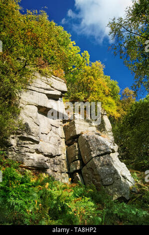 UK,South Yorkshire,Sheffield,rocce Rivelin Foto Stock