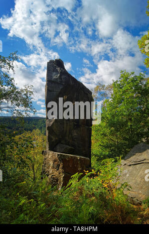 UK,South Yorkshire,Sheffield,Rivelin rocce,l'ago Foto Stock