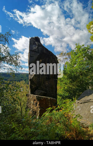 UK,South Yorkshire,Sheffield,Rivelin rocce,l'ago Foto Stock