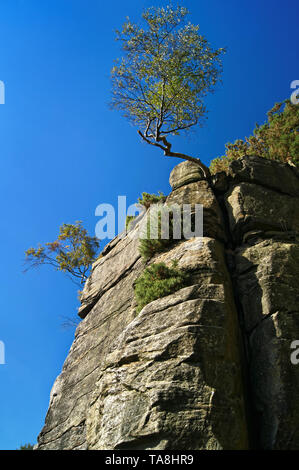 UK,South Yorkshire,Sheffield,rocce Rivelin Foto Stock