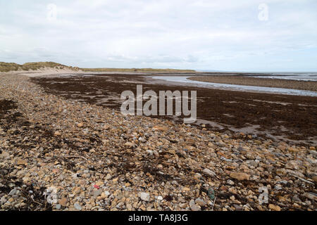 Sandham Bay, a Stony cove su Lindisfarne in Northumberland, Inghilterra. Lindisfarne è indicato anche come Isola Santa. Foto Stock