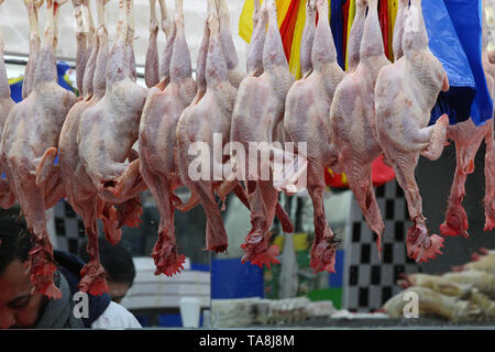 Presentate spennate polli su macellai display in Brixton, Londra Foto Stock