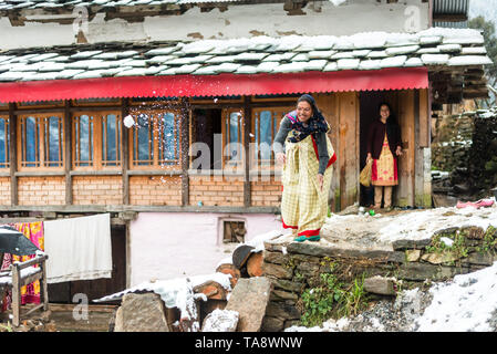 Kullu, Himachal Pradesh, India - 25 Gennaio 2019 : himachali donna in abito tradizionale a giocare nella neve con il capretto in inverni - Foto Stock