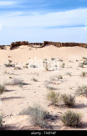 Strada di stabilizzazione del suolo e proteggere la zona dalla sabbia del deserto. Schermo a secco lungo l'autostrada. Paese Tunisia, l'Africa Foto Stock