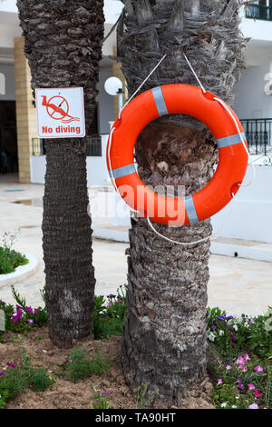 Ciambella rosso appeso sul palm tree con cautela la piastra non immersione. Un hotel area piscina, nessuno Foto Stock