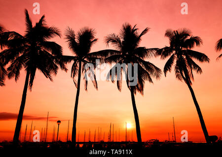 Le palme in arancione e rosa tramonto, Baia di Manila, Filippine Foto Stock