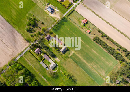 Vista aerea foto dal flying drone di campi prima del raccolto in estate in campagna Foto Stock