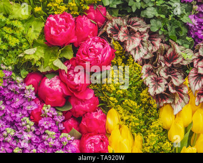 Splendidamente progettato giardini con piante e variegata di composizioni floreali ad RHS Chelsea Flower Show. Foto Stock