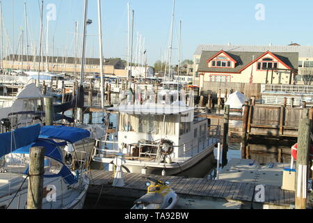 Marina in Eastport, Annapolis, MD, Stati Uniti d'America Foto Stock