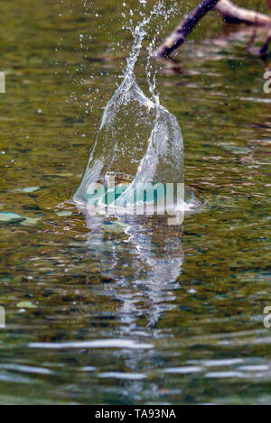 Spruzzi di acqua in natura il lago. Sfondo astratto Foto Stock