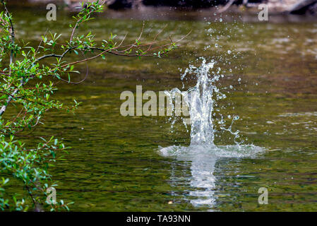 Spruzzi di acqua in natura il lago. Sfondo astratto Foto Stock