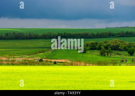 Bel tramonto, verde e campo giallo. Drammatico il cielo con le nuvole Foto Stock