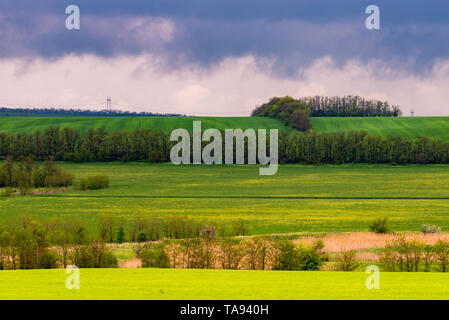 Bel tramonto, verde e campo giallo. Drammatico il cielo con le nuvole Foto Stock
