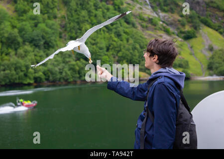 Uomo che viaggia sul traghetto ed alimentazione di seagull Foto Stock