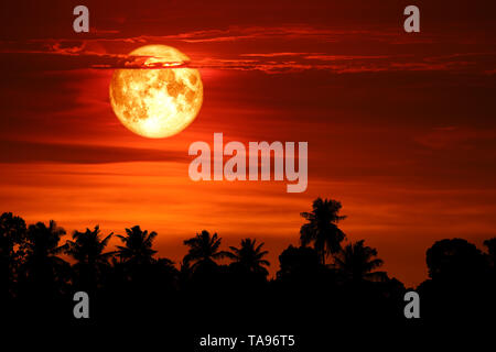 Super sangue luna neve silhouette posteriore albero su dark red sky, elementi di questa immagine fornita dalla NASA Foto Stock