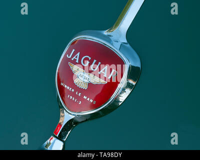 Jaguar XK140 badge di avvio dotato di Le Mans vince. Foto Stock