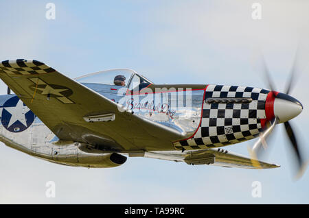 North American P Mustang denominata Big bella bambola. La seconda guerra mondiale da combattimento aereo. USAAF Guerra Mondiale due velivoli con naso a scacchiera. Volare. P51 Foto Stock