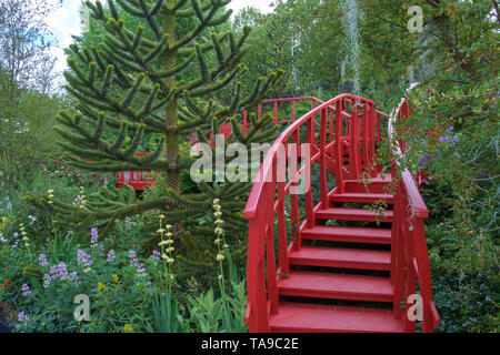 Londra, Regno Unito - 22 Maggio 2019: RHS Chelsea Trailfinders Undiscovered Latin America Show Garden. Un ponte rosso conduce attraverso il giardino fornendo un forte Foto Stock