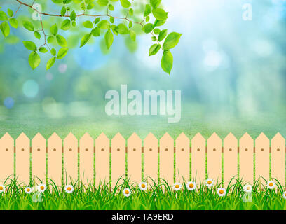 Campo verde paesaggio dal cortile interno con fiori a margherita e in legno Picket Fence Foto Stock
