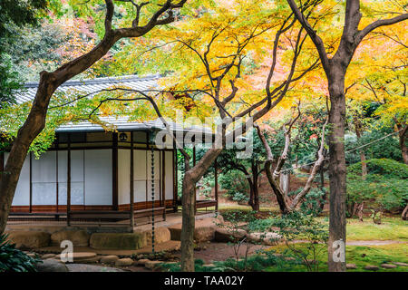 Giardini Kyu-Furukawa in autunno a Tokyo in Giappone Foto Stock