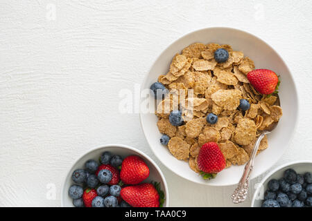 Tostate Fiocchi di avena con latte e frutti di bosco freschi, vicino fino in fondo bianco. Buona fonte di fibra e vitamine Foto Stock