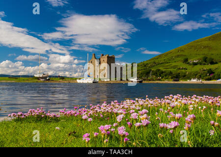 Lochranza Castle, isola di Arran Foto Stock