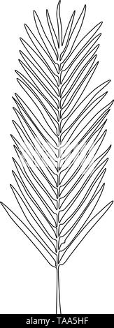 Un disegno della linea areca di foglie di palma. Linea continua Esotiche piante tropicali. Illustrazione Vettoriale