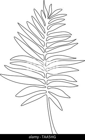 Un disegno della linea areca di foglie di palma. Linea continua Esotiche piante tropicali. Illustrazione Vettoriale